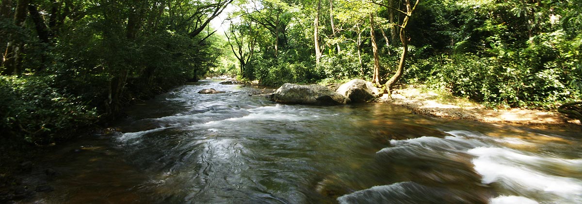 Home and Hill Resort